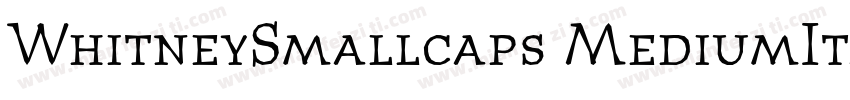 WhitneySmallcaps MediumItalic字体转换